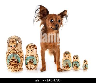 Russische Puppen und russkiy Toy vor weißem Hintergrund Stockfoto