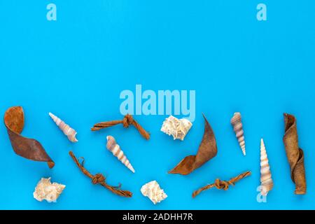 Ozean Zusammensetzung von Muscheln auf blauem Papier Kulisse. Strand Sommer, Marine, Muscheln sammeln. Schöne Sommerferien, Ozean Hintergrund. Flach, oben Anzeigen, Kopieren, von oben Stockfoto