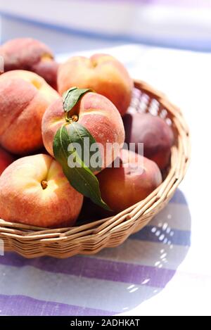 Korb voller Pfirsiche closeup im sonnigen Sommertag Stockfoto