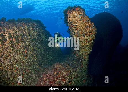 Scuba Diver zu einem bunten Felsenriff, Naturschutzgebiet und Marine Park Dragonera, Sant Elm, Mallorca, Balearen, Spanien Stockfoto