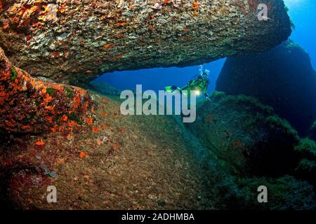 Scuba Diver zu einem bunten Felsenriff, Naturschutzgebiet und Marine Park Dragonera, Sant Elm, Mallorca, Balearen, Spanien Stockfoto