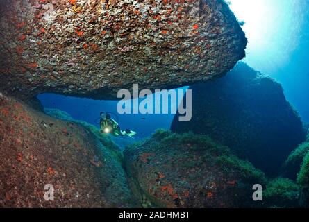 Scuba Diver zu einem bunten Felsenriff, Naturschutzgebiet und Marine Park Dragonera, Sant Elm, Mallorca, Balearen, Spanien Stockfoto