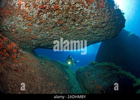 Scuba Diver zu einem bunten Felsenriff, Naturschutzgebiet und Marine Park Dragonera, Sant Elm, Mallorca, Balearen, Spanien Stockfoto