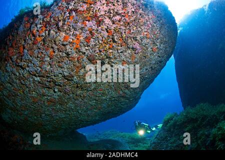 Scuba Diver zu einem bunten Felsenriff, Naturschutzgebiet und Marine Park Dragonera, Sant Elm, Mallorca, Balearen, Spanien Stockfoto