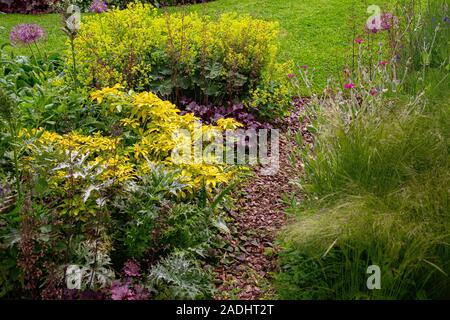 Rindenmulch Weg durch Blumenrabatten, die Choisya ternata undance' führende, Stipa tenuissima 'Pony Tails', Heuchera und Alchemilla Mollis Stockfoto