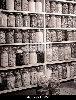 1930er Jahre PANTRY WAND DES GEERNTETEN UND KONSERVEN GEMÜSE UND FRÜCHTE BOHNEN ERBSEN GURKEN PFIRSICHE BIRNEN LIMAS-f 5003 HAR 001 HARS PANTRY BIRNEN BEWAHRT KONZEPTIONELLE STILL LIFE LIMAS VIELZAHL BEHÄLTER INHALT FRÜCHTE GLÄSER ESSIGGURKEN VERARBEITET VERSIEGELT SCHWARZ UND WEISS HAR 001 GEERNTETEN ALTE erhaltene altmodische Stockfoto