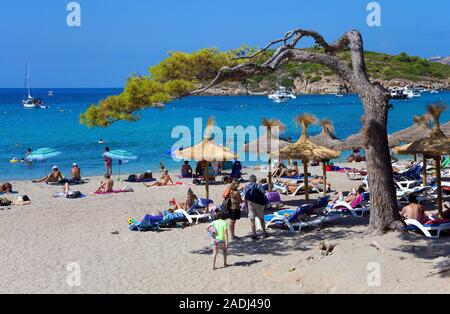 Urlauber am Badestrand bei Sant Elm, San Telmo, Mallorca, Balearen, Spanien | Menschen am Badestrand von Sant Elm, San Telmo, Mallorca, Balearen Insel Stockfoto