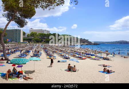 Baden Strand in Paguera, Mallorca, Balearen, Spanien Stockfoto