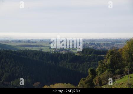 Te Araroa Trail alternative Route. State Highway 79. South Island. Neuseeland Stockfoto