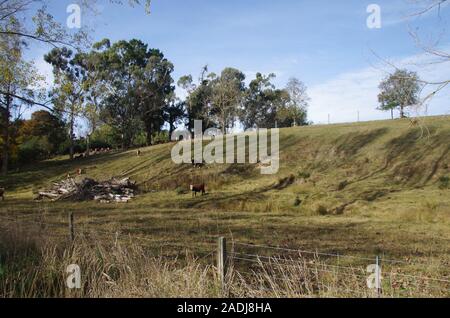 Te Araroa Trail alternative Route. State Highway 79. South Island. Neuseeland Stockfoto