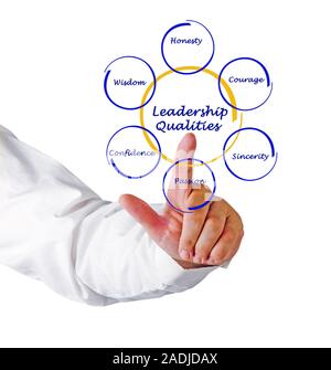 Diagramm der Führungsqualitäten Stockfoto