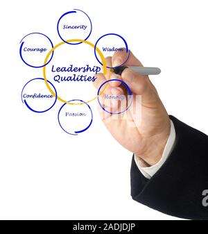 Diagramm der Führungsqualitäten Stockfoto