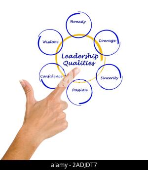 Diagramm der Führungsqualitäten Stockfoto