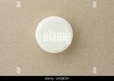 clomid pille