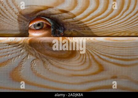 Des Menschen Auge in das Loch in der Holzwand. Spionage, folgenden, Beobachten guckte, spähen. Spionage Konzept. Stockfoto