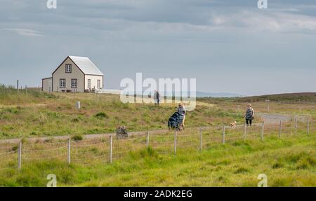 Auf dem Land, Insel Flatey in Breidafjördur, Westfjorde, Island Stockfoto