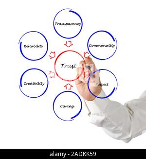 Diagramm des Vertrauens Stockfoto