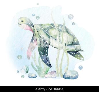 Satz von Meerestieren. Blau aquarell Ozean Fisch, Schildkröte, Wal und Korallen. Shell aquarium Hintergrund. Nautisch marine handgemalte Illustrationen. Stockfoto