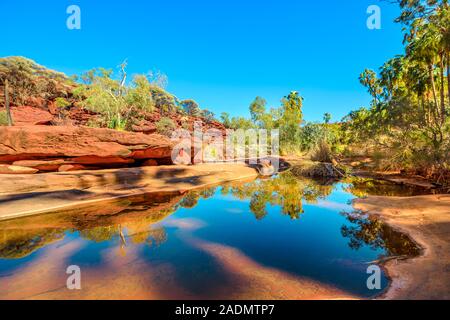 Rotkohl Palm und schroffen Sandsteinfelsen auf permanenten Wasserloch im Herzen von Palm Valley, Trockenzeit im Finke Gorge National Park wider Stockfoto