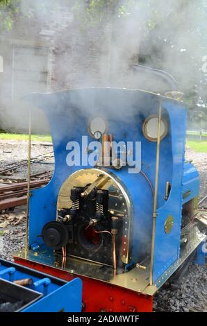 Schmalspurbahn, kleinen Dampfzug Stockfoto