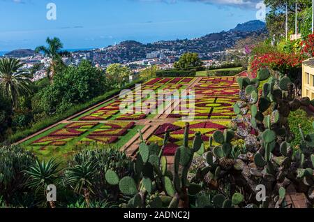 FUNCHAL, MADEIRA - 04. November 2019: Funchal Botanischer Gärten am 04. November 2019 auf der Insel Madeira, Portugal, Europa Stockfoto