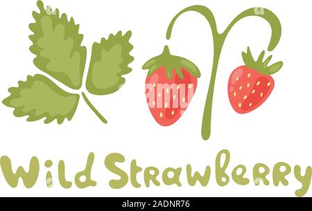 Zweig der Wilde Erdbeere mit Blättern auf Weiß. Einfache moderne Flachbild vegetarische Zeichen, Cartoon forest Bio Beere für Zeitschrift, Buch, Plakat, Menü Stock Vektor