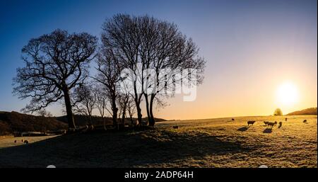 Ein frostiger Morgen in Lowick nach unten schauen. Der Crakear Tal in die aufgehende Sonne. Fujifilm X-T3, Fujinon XF 18-55f 2.8-4.0 @ 29mm, f=10, 1/450 Sekunde, Th Stockfoto