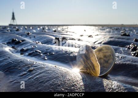 Sand Gaper im Wattenmeer in Cuxhaven, Deutschland mit der Kugelbake, einem historischen Hilfe am nördlichsten Punkt Niedersachsens, im Hintergrund Stockfoto