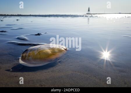 Sand Gaper im Wattenmeer in Cuxhaven, Deutschland mit der Kugelbake, einem historischen Hilfe am nördlichsten Punkt Niedersachsens, im Hintergrund Stockfoto