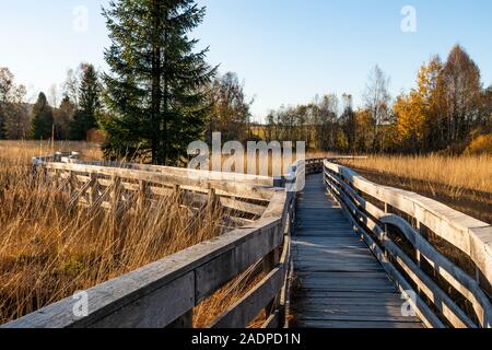 Nature Trail durch Torfmoore in Tarnawa. Bieszczady, östlichen Karpatenvorland, Polen, Europa Stockfoto