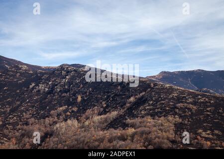 Dunkel, verbrannten, verbrannte Erde auf dem Hochland von Berg, Herbstfarben der verbleibenden Bäume und blauer Himmel Stockfoto