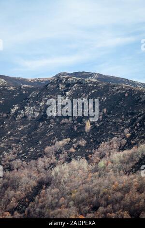 Dunkel, verbrannten, verbrannte Erde auf dem Hochland von Berg, Herbstfarben der verbleibenden Bäume und blauer Himmel Stockfoto