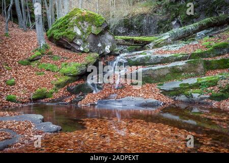 Schöne Mountain Creek mit kleinen Kaskade, umgefallene Baum, Felsen von Vivid Green Moss und bunte Blätter im Herbst in den Teich fallen Stockfoto
