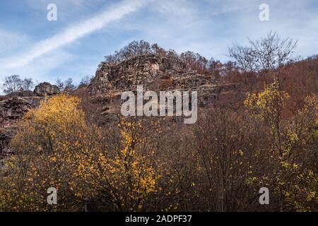 Rocky Mountain Peak mit Bäumen auf der Oberseite und vorne, goldfarbenen, sonnendurchfluteten Bäume im Herbst Saison Stockfoto