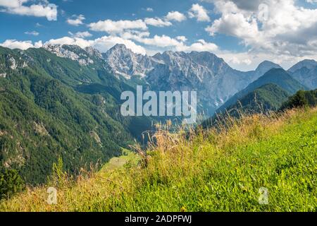 Blick über Tal Logarska Tal Berg Kamnik - Savinja-alpen in Slowenien, Europa Stockfoto