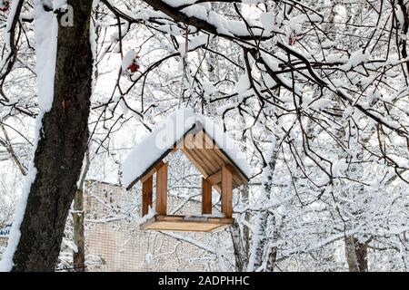 Ein Vogel schrägförderer von einem Mann gemacht hängt an einem Ast unter Schnee im Winter. Die Unterstützung und der Schutz der Tiere und der Vögel im Winter. Stockfoto