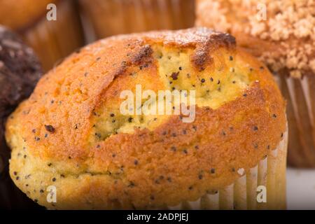 Auswahl an frisch gebackenen Muffins mit Nahaufnahme eines Mohn muffin Stockfoto