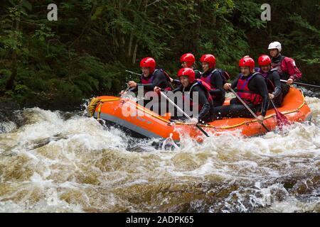 White Water Dachsparren schießen die Stromschnellen auf nationaler White Water Centre auf dem Fluss Tryweryn im Snowdonia National Park Stockfoto