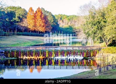 Cascading Chrysanthemen hängen von der rustikalen Brücke und in Mirror Lake an Bellingrath Gardens widerspiegeln, November 24, 2019, Theodore, Alabama. Stockfoto