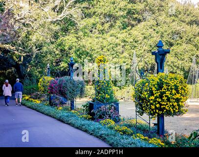 Ein paar Spaziergänge Vergangenheit Körbe von Seizan gelb cascading Chrysanthemen bei Bellingrath Gardens, November 24, 2019, Theodore, Alabama. Stockfoto