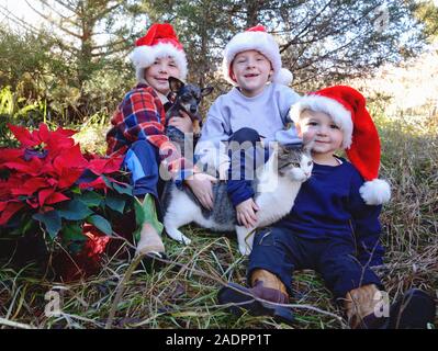 Drei Jungen in Santa Hüte holding Katze und Hund Stockfoto