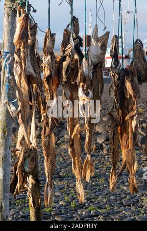 Fisch Wäscheständer, Pescara, Island Stockfoto