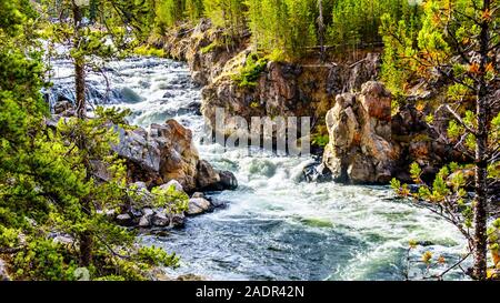 Rapids in den Firehole River an der Firehole Canyon Road im Yellowstone National Park, Wyoming, USA Stockfoto