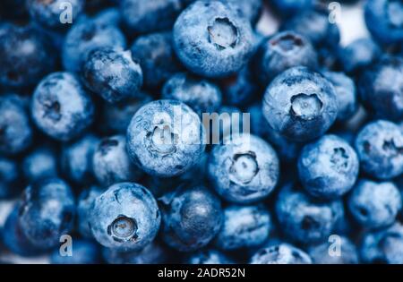 Nahaufnahme von frisch gepflückten Heidelbeeren Tönen in der Farbe des Jahres 2020 Classic blau. Stockfoto