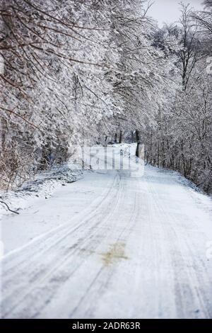 Ein Feldweg in Vermont ist im Schnee nach einem Blizzard abgedeckt Stockfoto