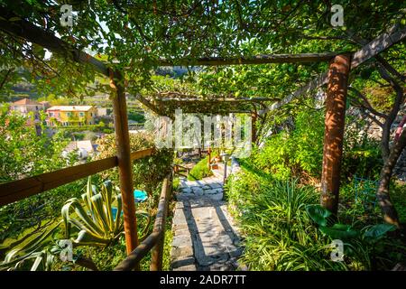 Ein üppiger Garten mit Weinreben und Efeu in einem Innenhof auf dem Hügel von Monterosso, Cinque Terre an der ligurischen Küste von Italien Stockfoto