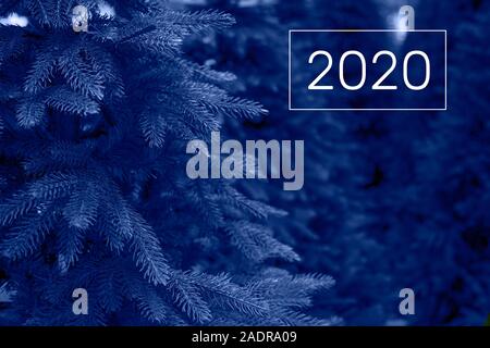 Weihnachtsbäume zum Verkauf im shop Farbe des Jahres. 2020 Stockfoto