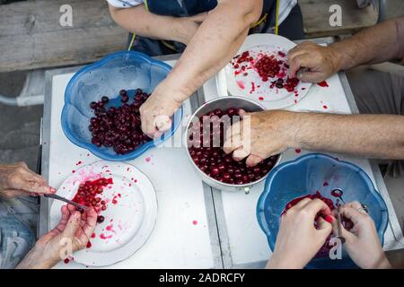 Vier Hände am Tisch, aus Knochen von Cherry in Blue Bowls Stockfoto