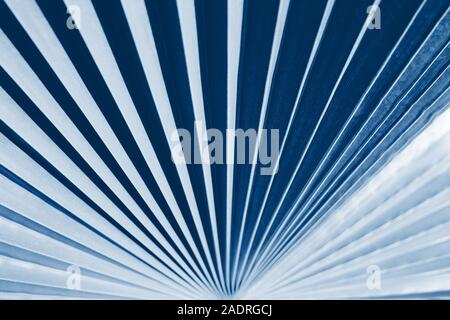 Palmblatt Textur Tönen in der klassischen Farbe blau. Tropischen Hintergrund. Trendige Farben. Stockfoto