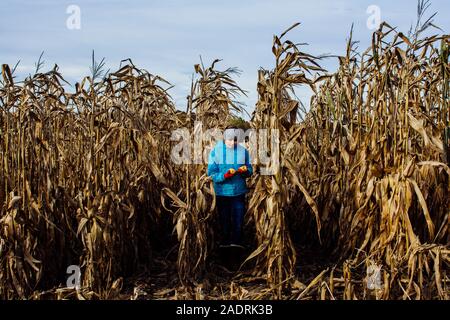 Jugendlich Mädchen zwei Ähren Feld Mais an einer Un-geernteten Feld Stockfoto